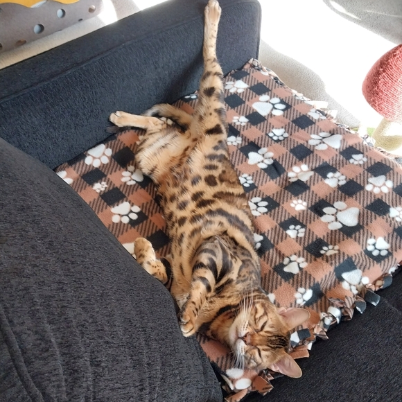 Clothes, Shoes , Randoms... - Picture 2 of 4